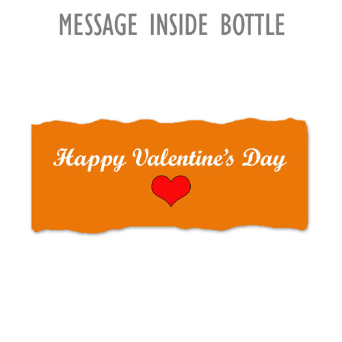 Valentines Day Teddy With Message Bottle