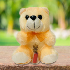 Valentines Day Teddy With Message Bottle
