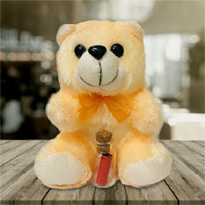 Teddy With Happy Rakhi Message Bottle