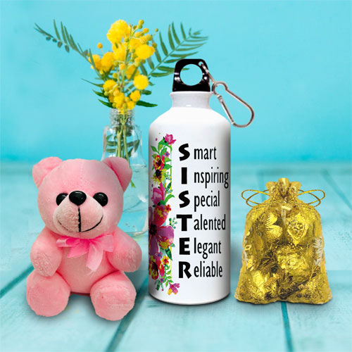 Rakhi Sister Sipper Teddy Choco Combo
