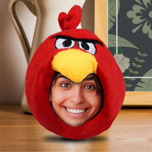 Angry Bird Personalised Doll