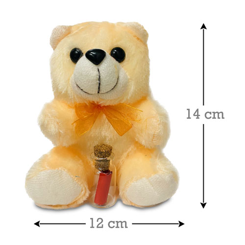 Valentines Day Teddy With Message Bottle