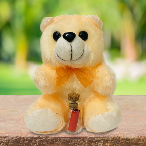 Valentines Day Teddy With Message Bottle