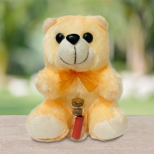 Teddy With You Are The One Message Bottle