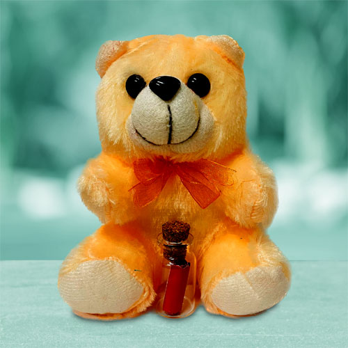 Teddy With Happy Birthday Message Bottle