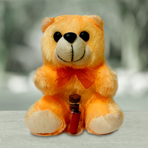 Teddy With I Love You Message Bottle
