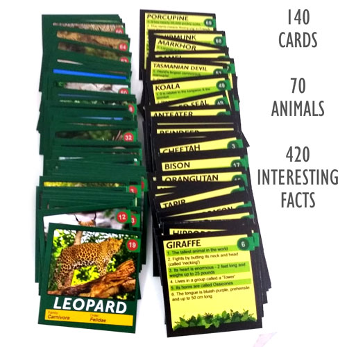 Jungle Quest Kids Cards Game