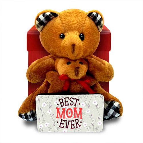 Mom And Baby Teddy Bears In A Box