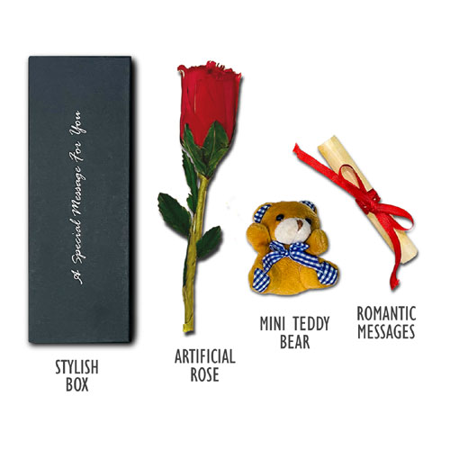 Teddy And Rose Romantic Messages Box