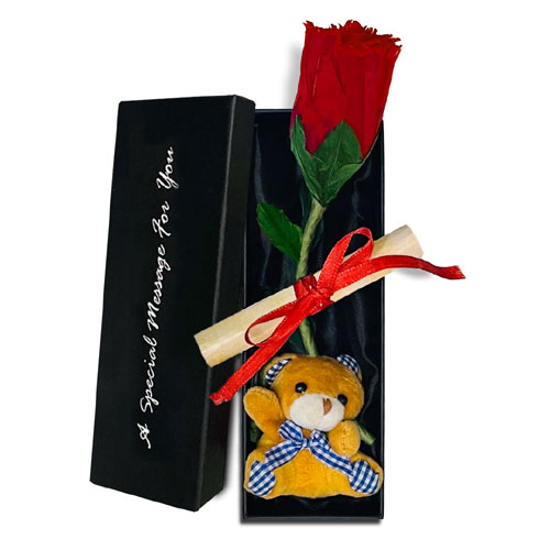 Teddy And Rose Romantic Messages Box