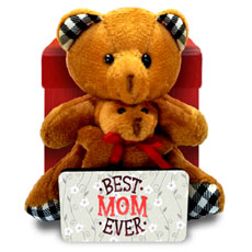 Mom And Baby Teddy Bears In A Box